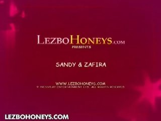 Lezbo Honeys: libidinous blonde lesbian doing nasty brunettte