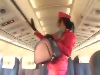 Tempting stewardess ngisep manhood before cunnilingus
